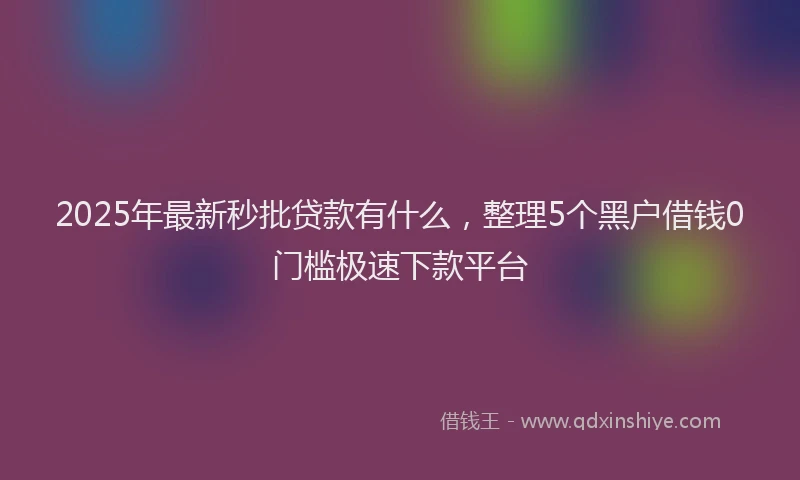 2025年最新秒批贷款有什么，整理5个黑户借钱0门槛极速下款平台