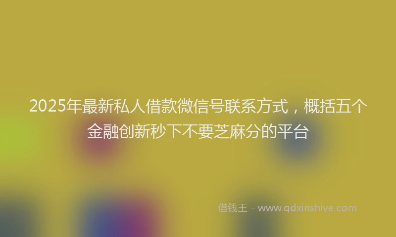 2025年最新私人借款微信号联系方式，概括五个金融创新秒下不要芝麻分的平台