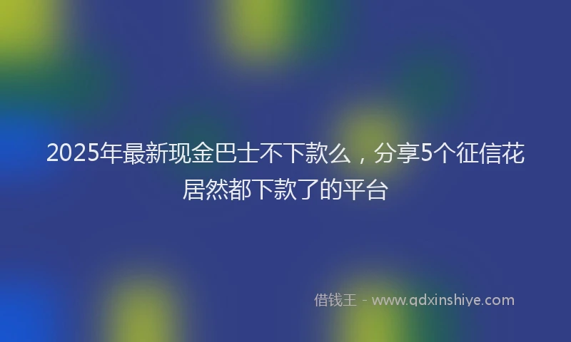 2025年最新现金巴士不下款么，分享5个征信花居然都下款了的平台