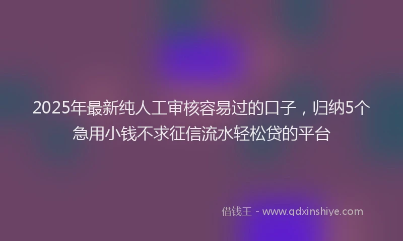2025年最新纯人工审核容易过的口子，归纳5个急用小钱不求征信流水轻松贷的平台