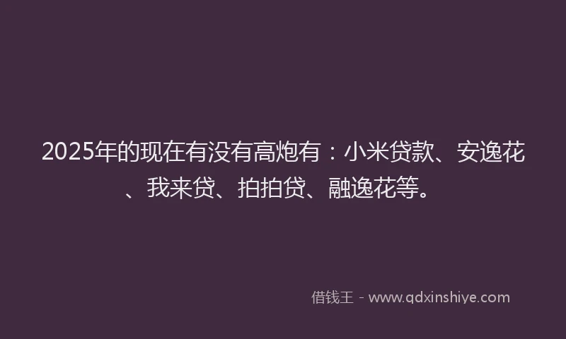2025年的现在有没有高炮有：小米贷款、安逸花、我来贷、拍拍贷、融逸花等。