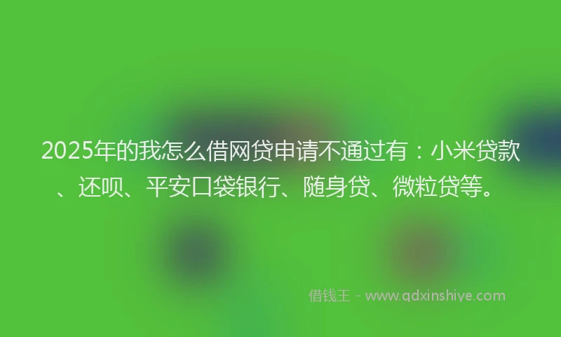 2025年的我怎么借网贷申请不通过有：小米贷款、还呗、平安口袋银行、随身贷、微粒贷等。