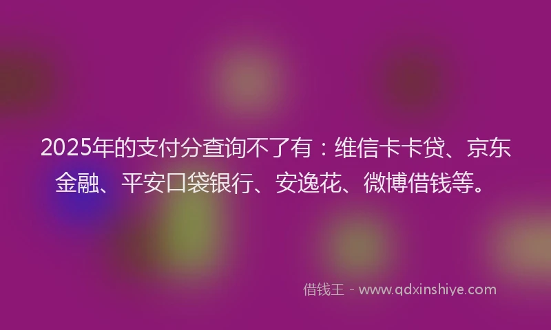 2025年的支付分查询不了有：维信卡卡贷、京东金融、平安口袋银行、安逸花、微博借钱等。