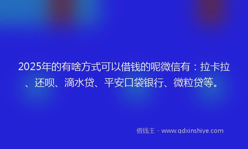 2025年的有啥方式可以借钱的呢微信有：拉卡拉、还呗、滴水贷、平安口袋银行、微粒贷等。