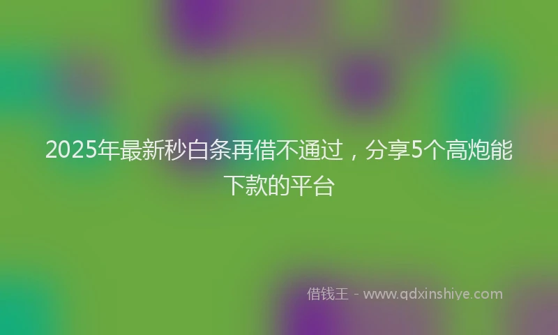 2025年最新秒白条再借不通过，分享5个高炮能下款的平台