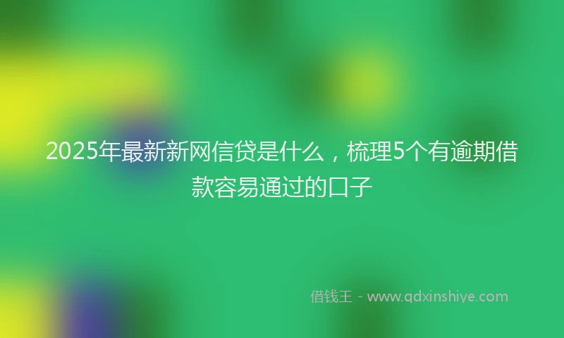 2025年最新新网信贷是什么，梳理5个有逾期借款容易通过的口子