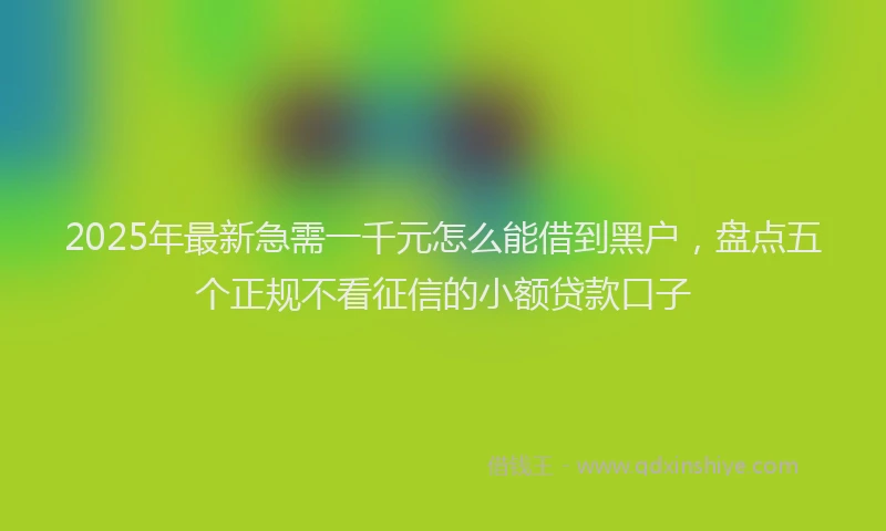 2025年最新急需一千元怎么能借到黑户，盘点五个正规不看征信的小额贷款口子