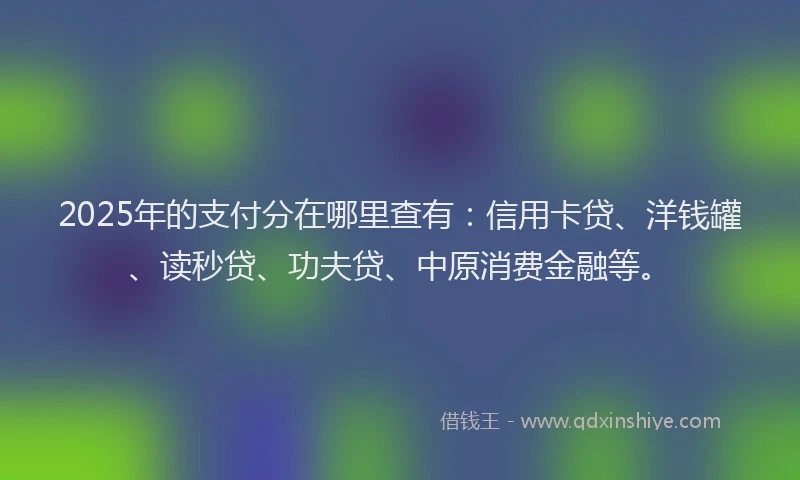 2025年的支付分在哪里查有：信用卡贷、洋钱罐、读秒贷、功夫贷、中原消费金融等。