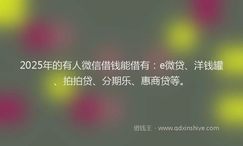 2025年的有人微信借钱能借有：e微贷、洋钱罐、拍拍贷、分期乐、惠商贷等。