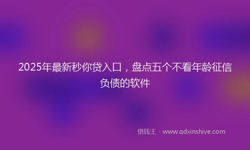2025年最新秒你贷入口，盘点五个不看年龄征信负债的软件