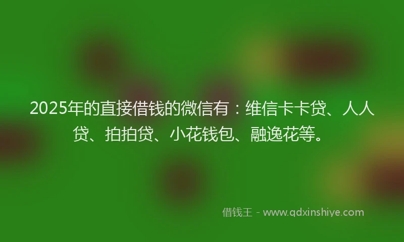2025年的直接借钱的微信有：维信卡卡贷、人人贷、拍拍贷、小花钱包、融逸花等。