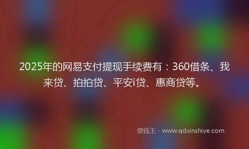 2025年的网易支付提现手续费有：360借条、我来贷、拍拍贷、平安i贷、惠商贷等。