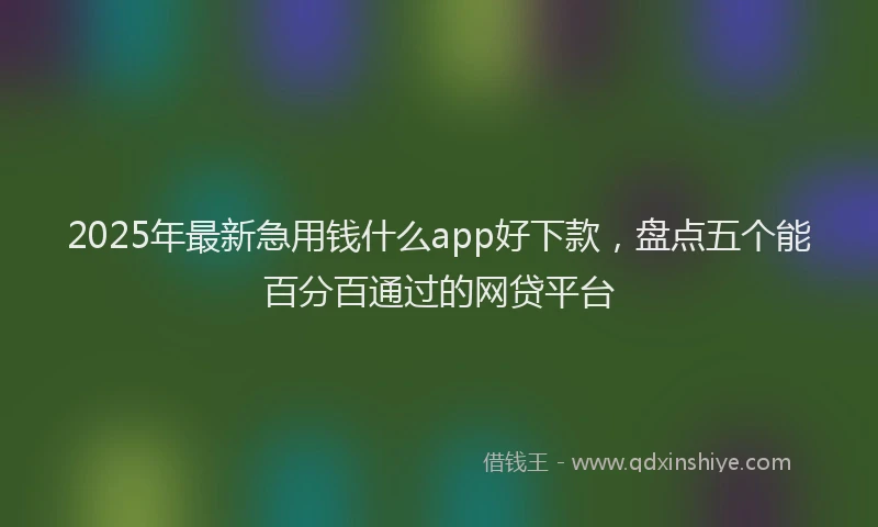 2025年最新急用钱什么app好下款，盘点五个能百分百通过的网贷平台
