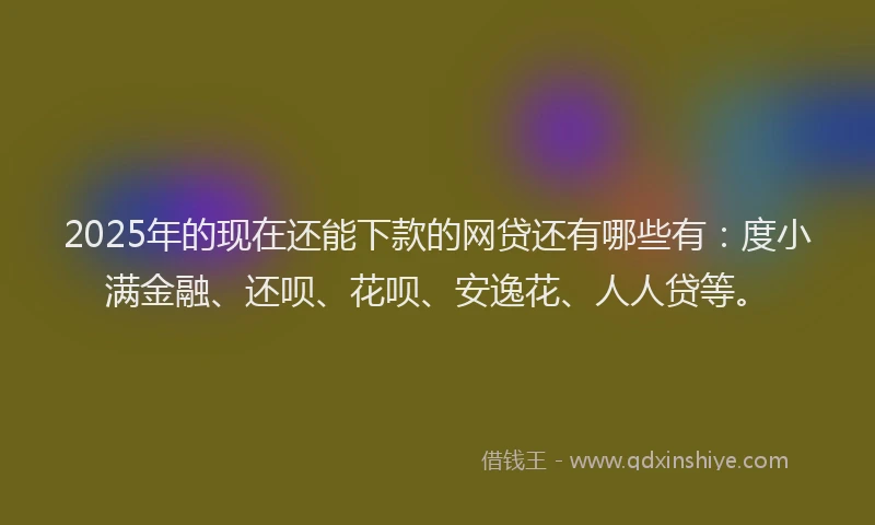 2025年的现在还能下款的网贷还有哪些有：度小满金融、还呗、花呗、安逸花、人人贷等。