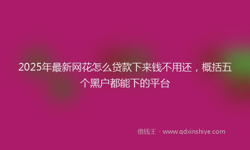 2025年最新网花怎么贷款下来钱不用还，概括五个黑户都能下的平台