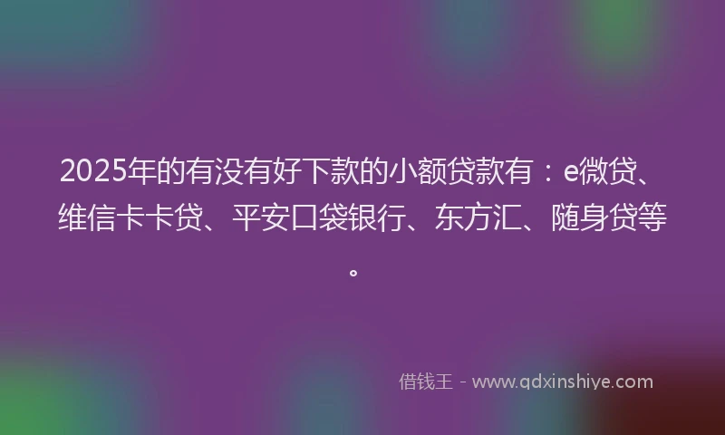 2025年的有没有好下款的小额贷款有:e微贷、维信卡卡贷、平安口袋银行、东方汇、随身贷等。