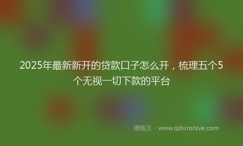 2025年最新新开的贷款口子怎么开，梳理五个5个无视一切下款的平台