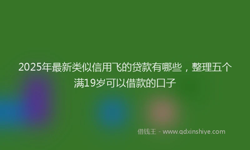 2025年最新类似信用飞的贷款有哪些，整理五个满19岁可以借款的口子