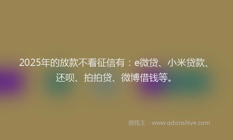 2025年的放款不看征信有：e微贷、小米贷款、还呗、拍拍贷、微博借钱等。