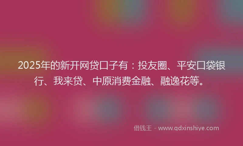 2025年的新开网贷口子有：投友圈、平安口袋银行、我来贷、中原消费金融、融逸花等。
