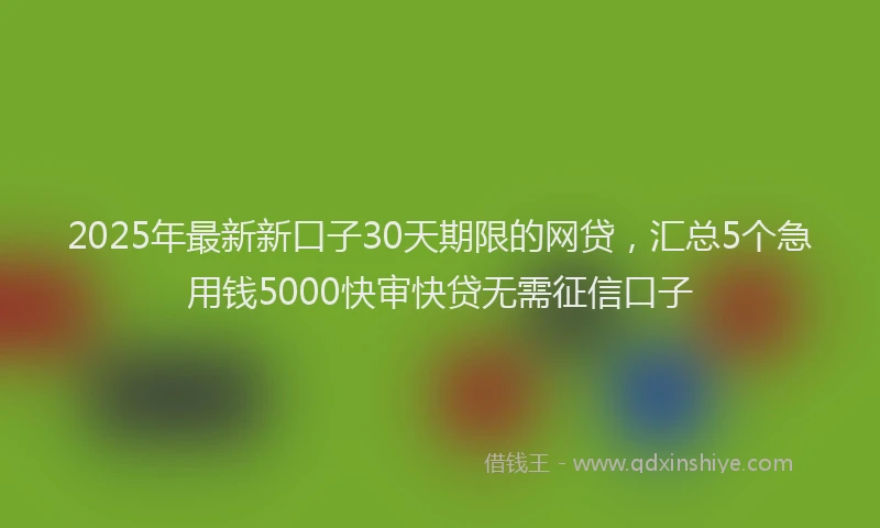 2025年最新新口子30天期限的网贷，汇总5个急用钱5000快审快贷无需征信口子