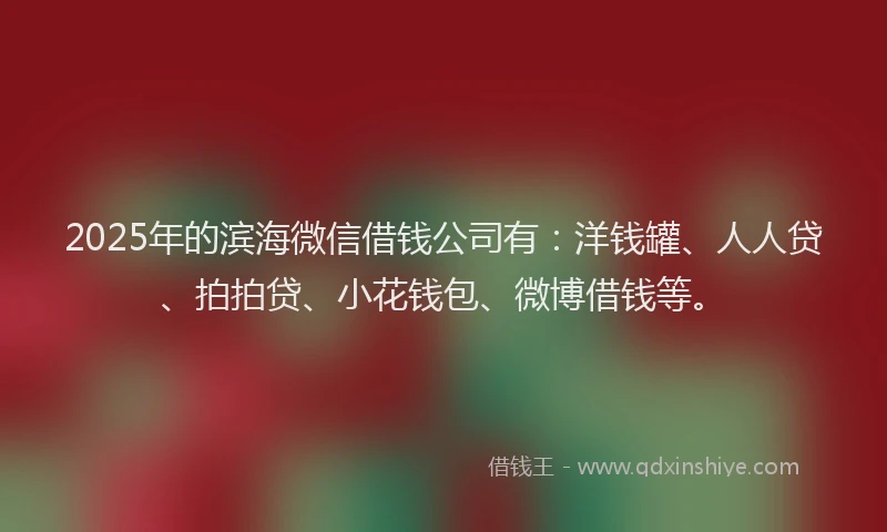 2025年的滨海微信借钱公司有：洋钱罐、人人贷、拍拍贷、小花钱包、微博借钱等。