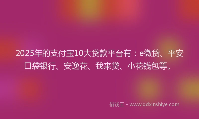 2025年的支付宝10大贷款平台有：e微贷、平安口袋银行、安逸花、我来贷、小花钱包等。