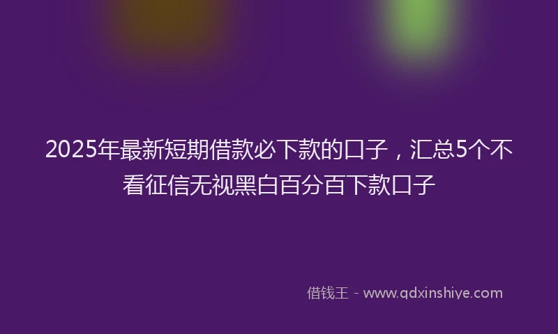 2025年最新短期借款必下款的口子，汇总5个不看征信无视黑白百分百下款口子