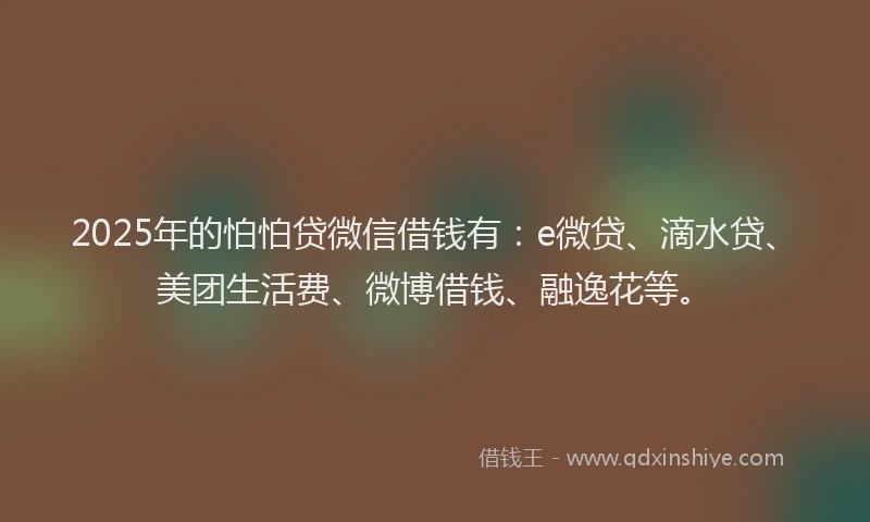 2025年的怕怕贷微信借钱有：e微贷、滴水贷、美团生活费、微博借钱、融逸花等。