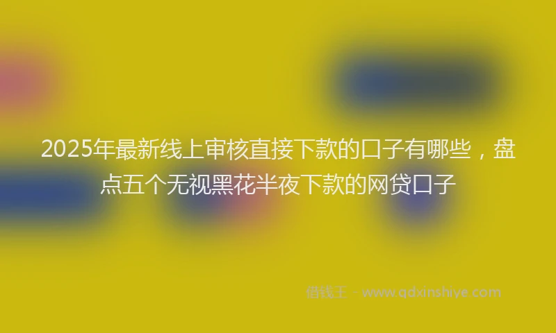2025年最新线上审核直接下款的口子有哪些，盘点五个无视黑花半夜下款的网贷口子