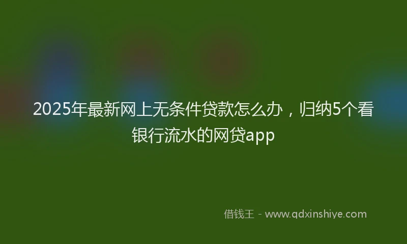 2025年最新网上无条件贷款怎么办，归纳5个看银行流水的网贷app