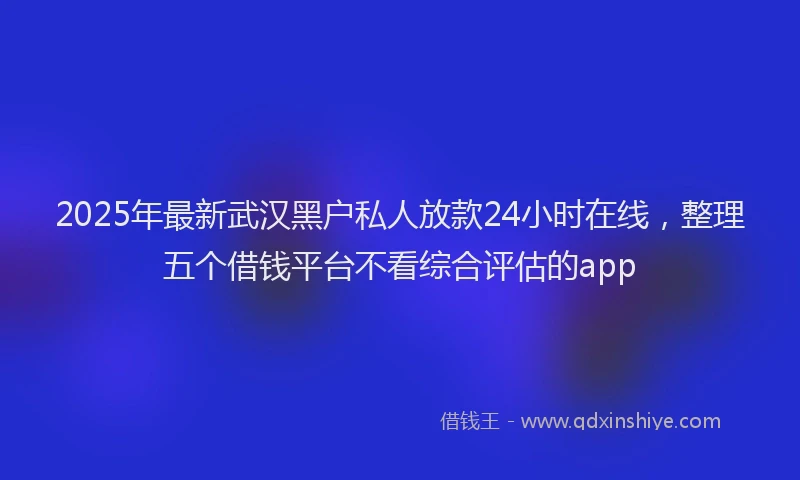 2025年最新武汉黑户私人放款24小时在线，整理五个借钱平台不看综合评估的app