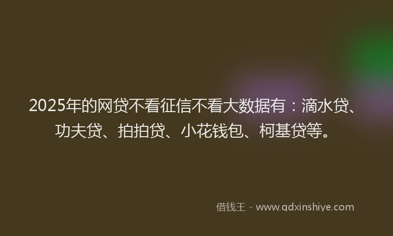 2025年的网贷不看征信不看大数据有：滴水贷、功夫贷、拍拍贷、小花钱包、柯基贷等。