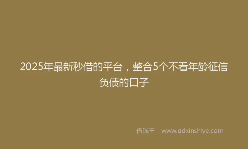 2025年最新秒借的平台，整合5个不看年龄征信负债的口子