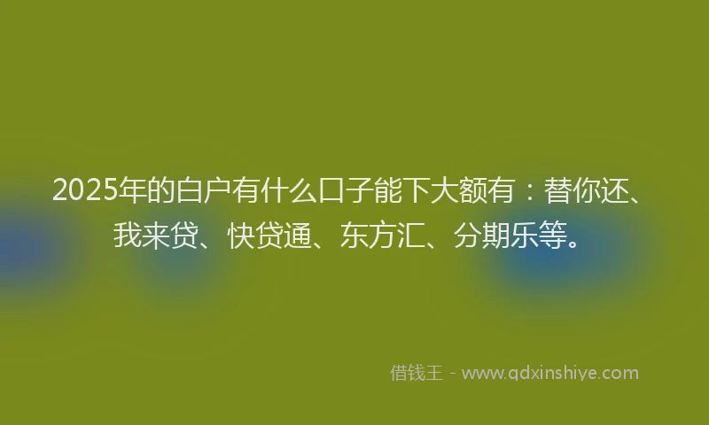 2025年的白户有什么口子能下大额有：替你还、我来贷、快贷通、东方汇、分期乐等。