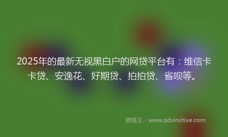 2025年的最新无视黑白户的网贷平台有：维信卡卡贷、安逸花、好期贷、拍拍贷、省呗等。
