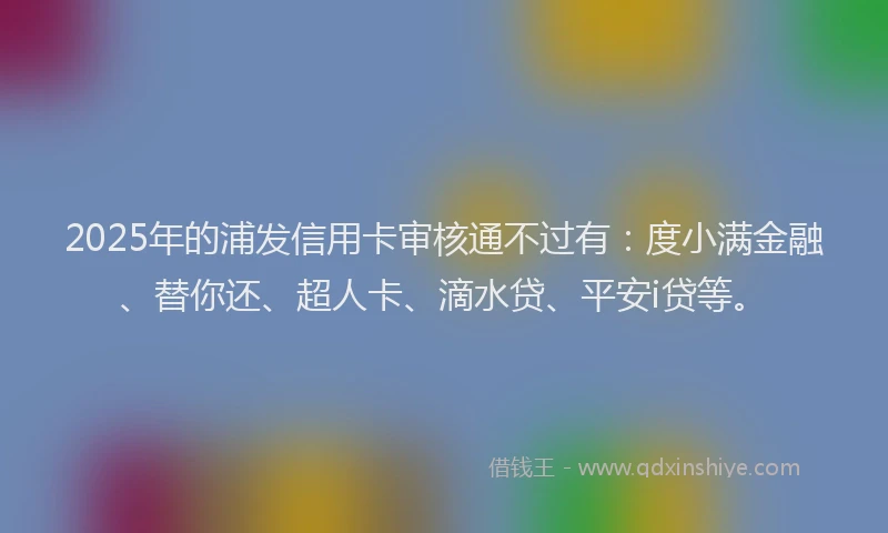 2025年的浦发信用卡审核通不过有：度小满金融、替你还、超人卡、滴水贷、平安i贷等。