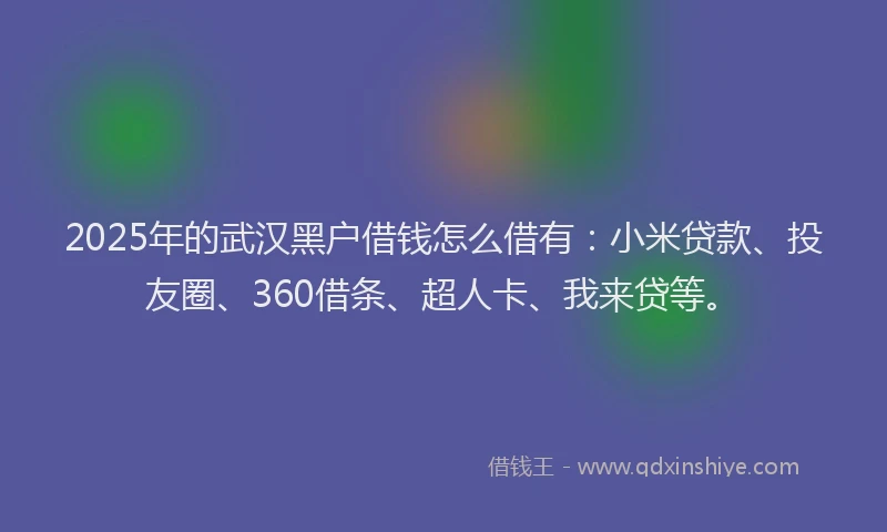 2025年的武汉黑户借钱怎么借有：小米贷款、投友圈、360借条、超人卡、我来贷等。