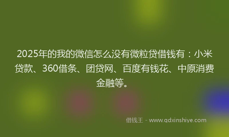 2025年的我的微信怎么没有微粒贷借钱有：小米贷款、360借条、团贷网、百度有钱花、中原消费金融等。