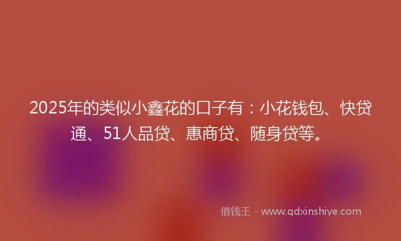 2025年的类似小鑫花的口子有：小花钱包、快贷通、51人品贷、惠商贷、随身贷等。