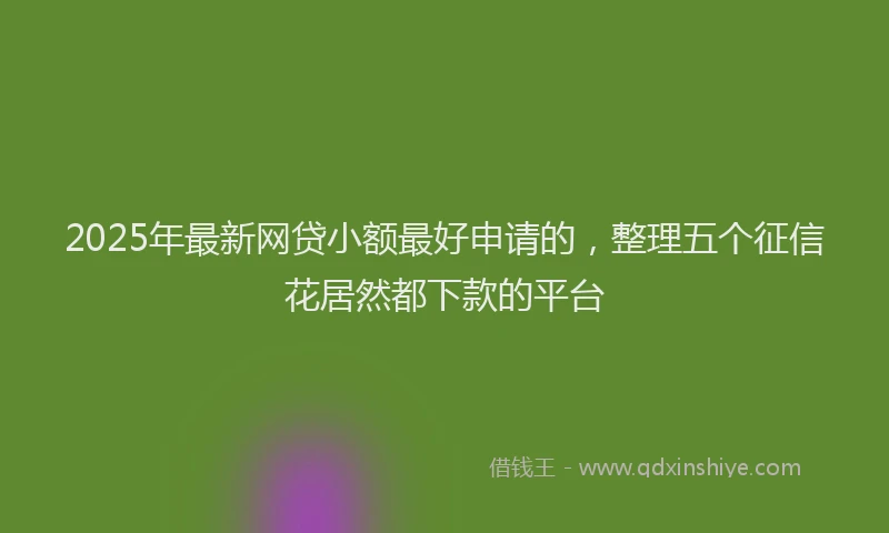 2025年最新网贷小额最好申请的，整理五个征信花居然都下款的平台