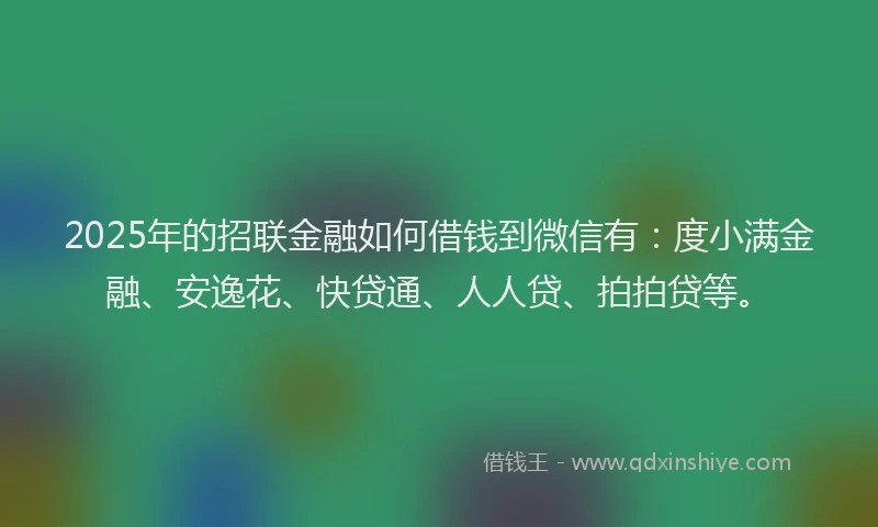 2025年的招联金融如何借钱到微信有：度小满金融、安逸花、快贷通、人人贷、拍拍贷等。