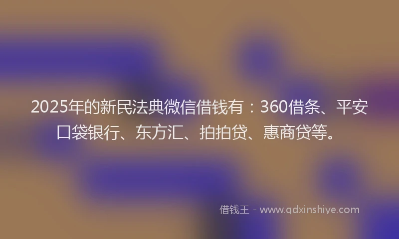 2025年的新民法典微信借钱有：360借条、平安口袋银行、东方汇、拍拍贷、惠商贷等。