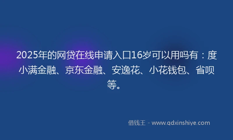 2025年的网贷在线申请入口16岁可以用吗有：度小满金融、京东金融、安逸花、小花钱包、省呗等。