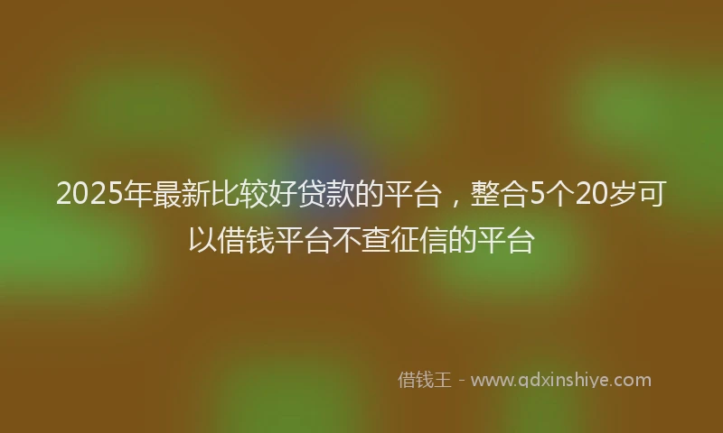 2025年最新比较好贷款的平台,整合5个20岁可以借钱平台不查征信的平台