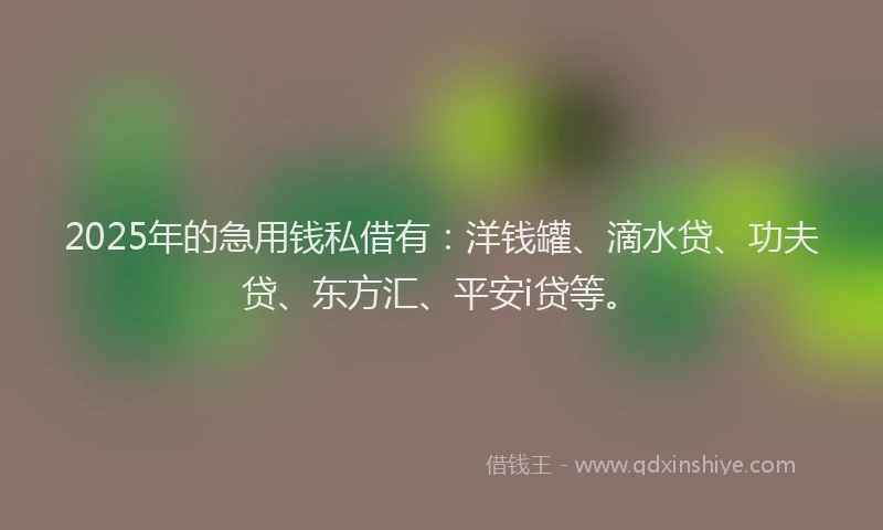 2025年的急用钱私借有：洋钱罐、滴水贷、功夫贷、东方汇、平安i贷等。