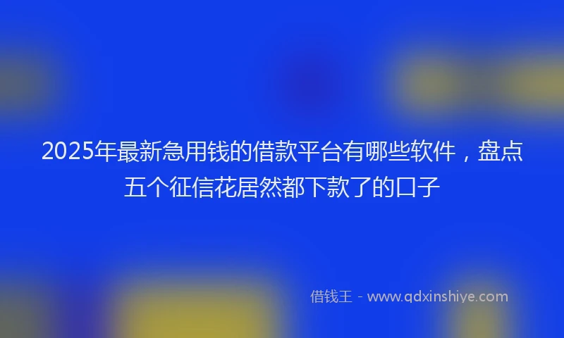 2025年最新急用钱的借款平台有哪些软件，盘点五个征信花居然都下款了的口子