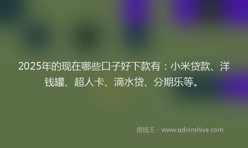 2025年的现在哪些口子好下款有：小米贷款、洋钱罐、超人卡、滴水贷、分期乐等。