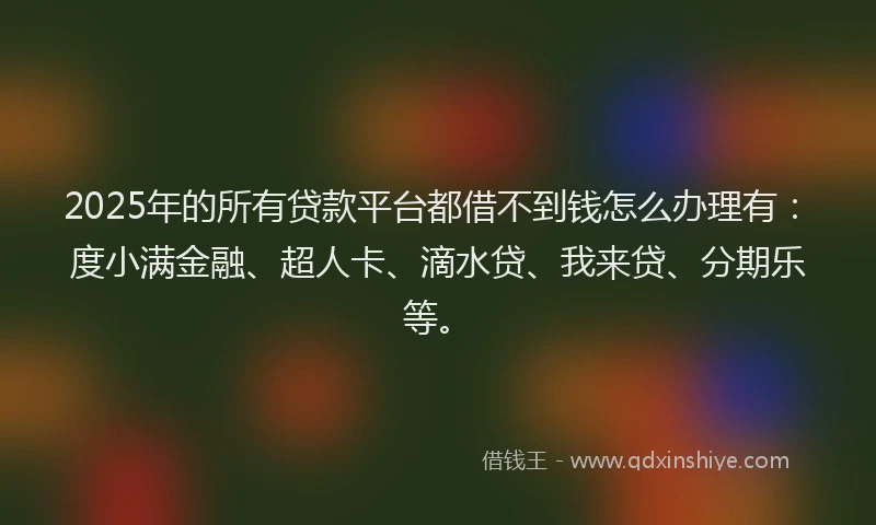 2025年的所有贷款平台都借不到钱怎么办理有：度小满金融、超人卡、滴水贷、我来贷、分期乐等。