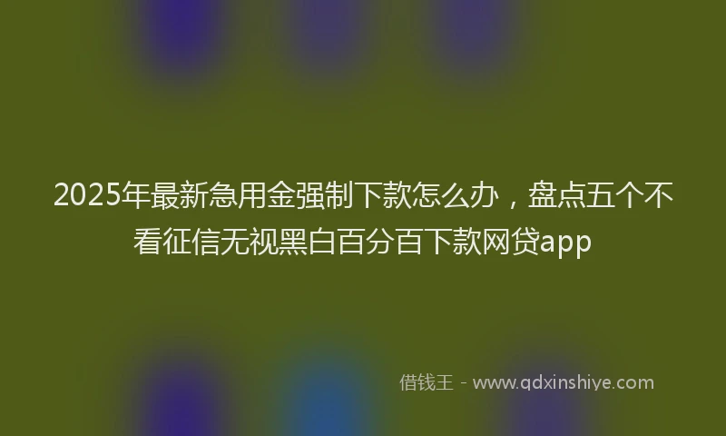 2025年最新急用金强制下款怎么办，盘点五个不看征信无视黑白百分百下款网贷app